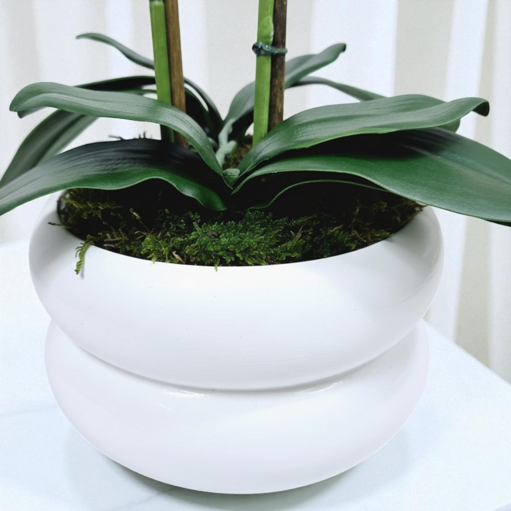 Arranjo de orquídeas em vaso de cerâmica branco Lumina - Image 2