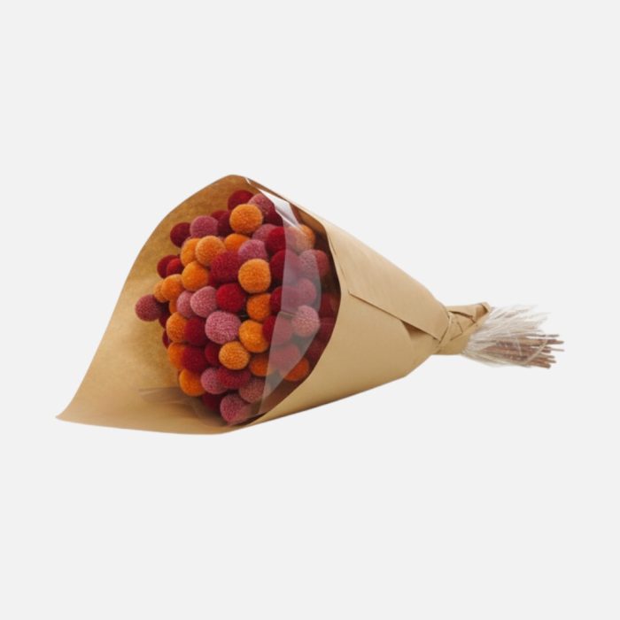 Ramo de flores secas "Craspedia" colorido 20x50 cm