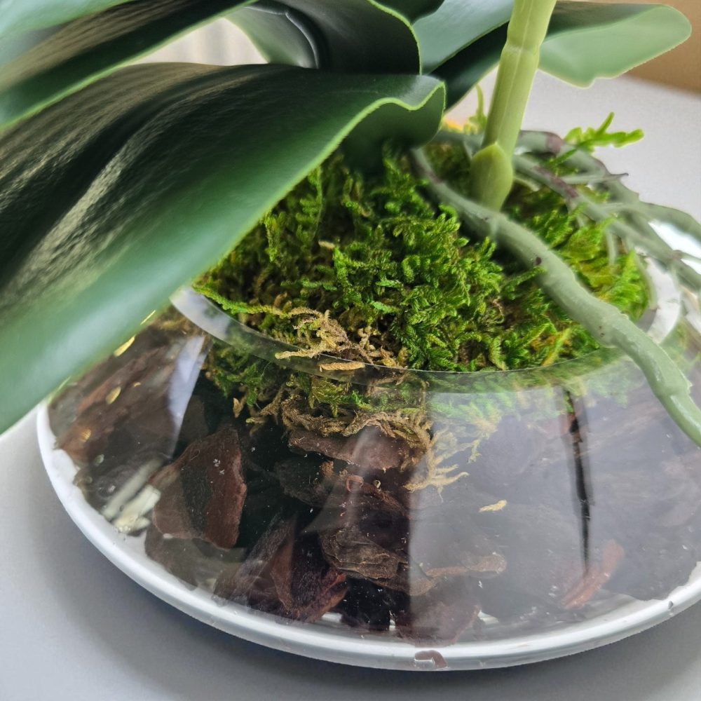 Arranjo de orquídeas em vaso de vidro Ônix - Image 2