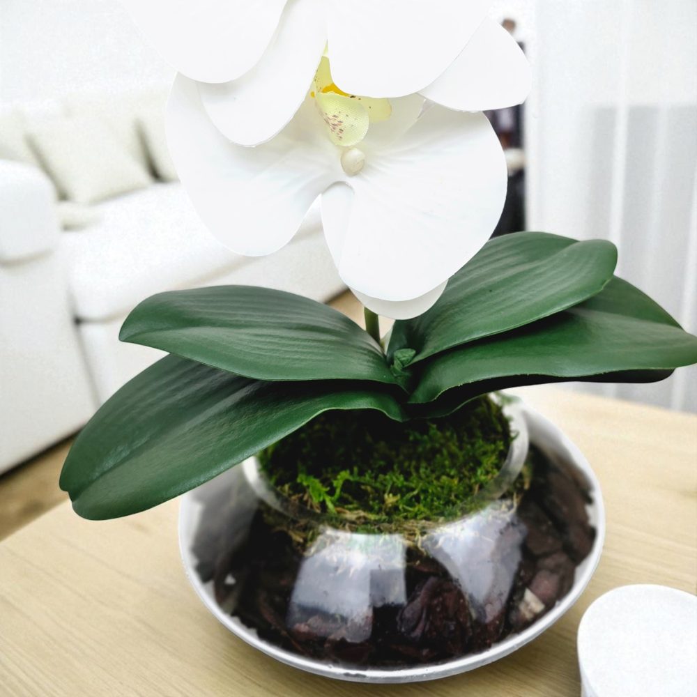 Arranjo de orquídeas em vaso de vidro Ônix - Image 5