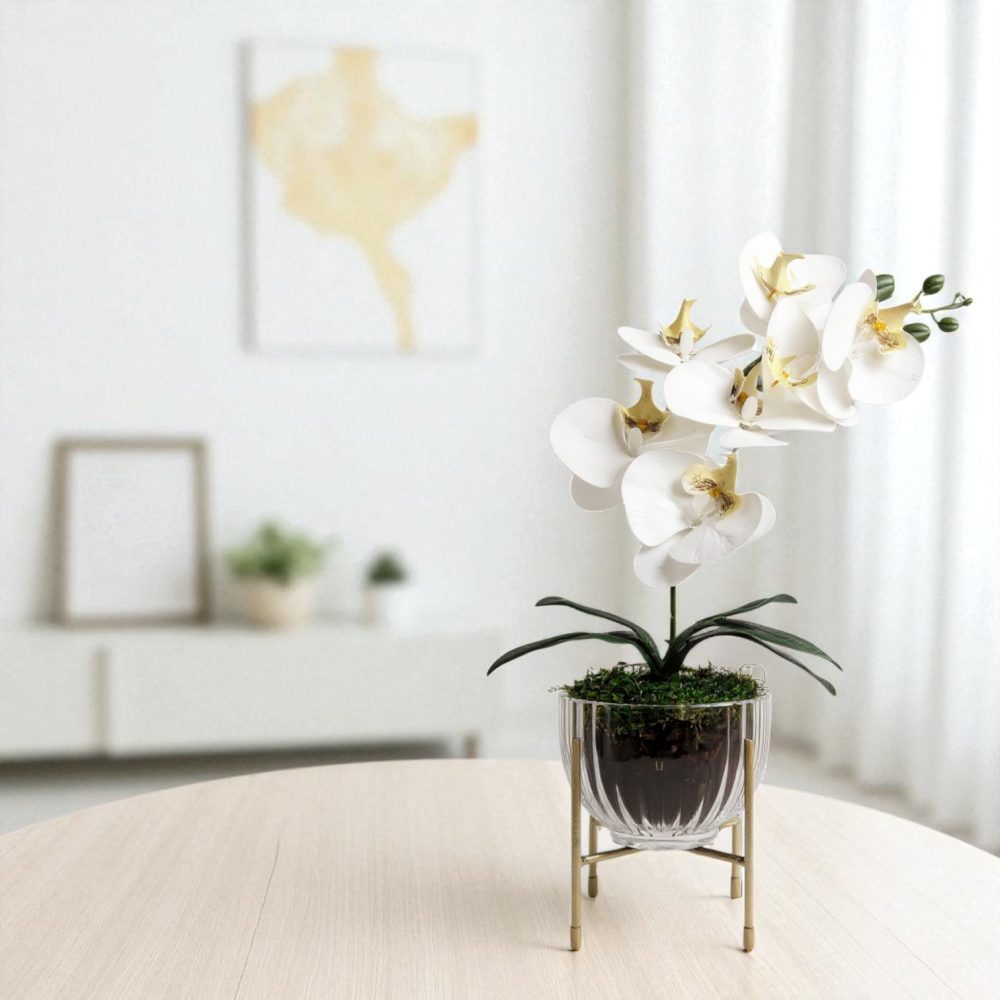 Arranjo de orquídeas em vaso de vidro Elegance - Image 5