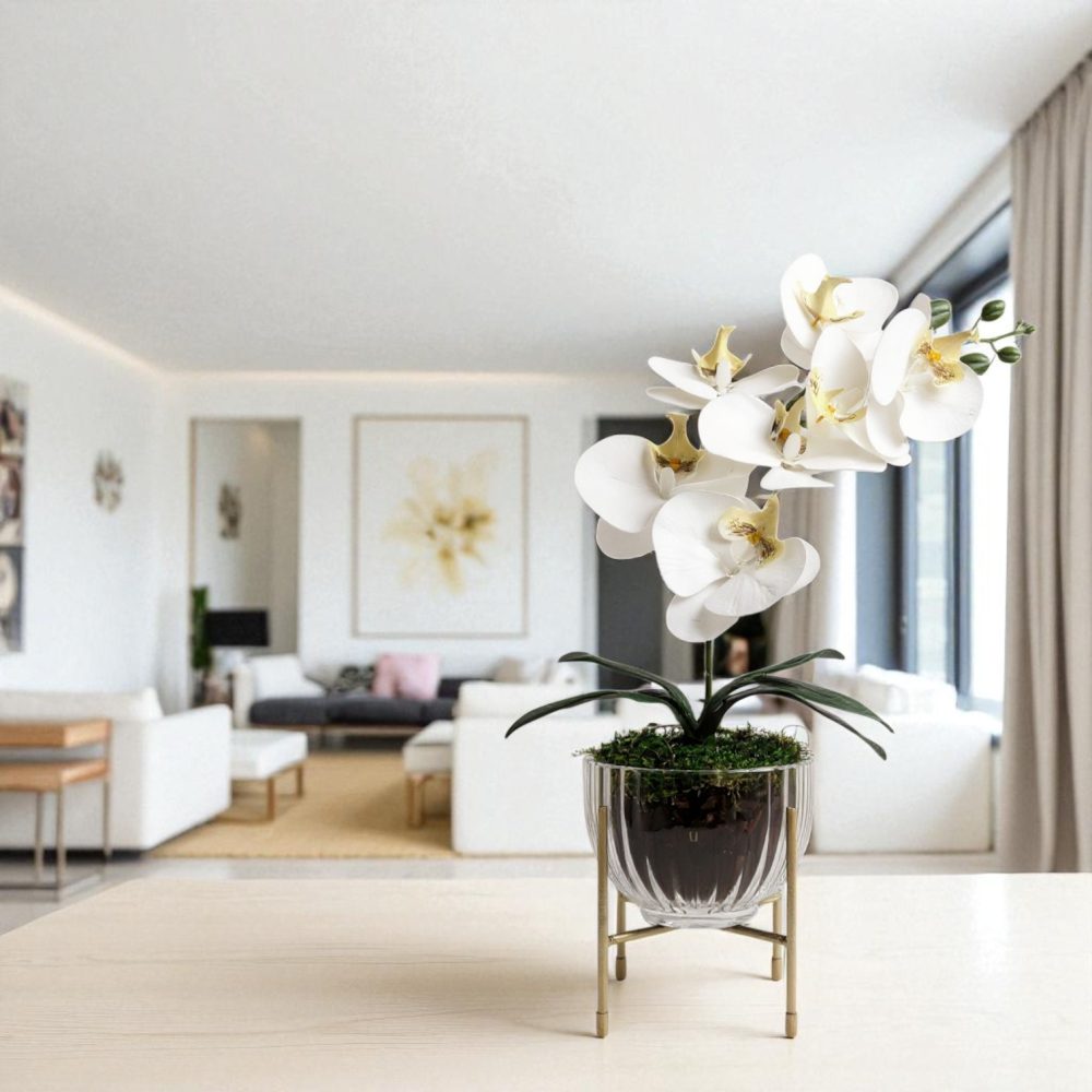 Arranjo de orquídeas em vaso de vidro Elegance - Image 2