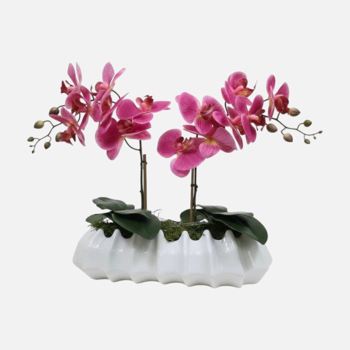 Arranjo de orquídeas em vaso de cerâmica branco Caravela - Rosa Escuro