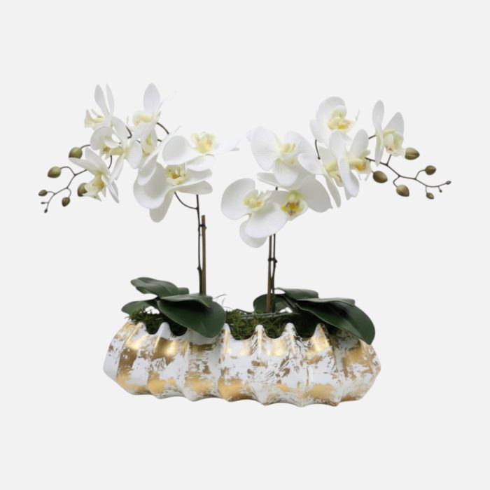 Arranjo de orquídeas em vaso de cerâmica branco e dourado Caravela