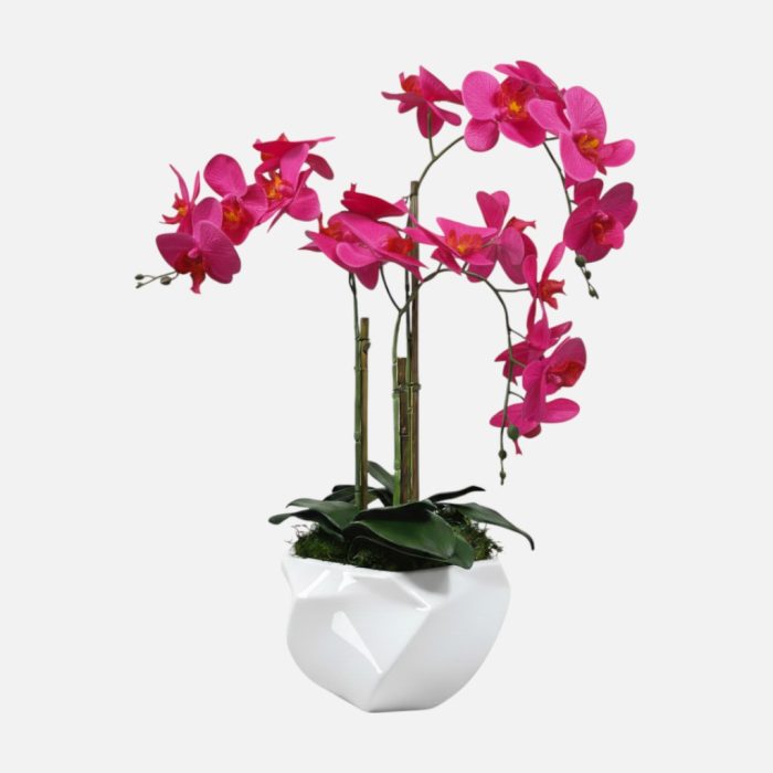 Arranjo de orquídeas em vaso de cerâmica branco Imperial - Rosa Escuro