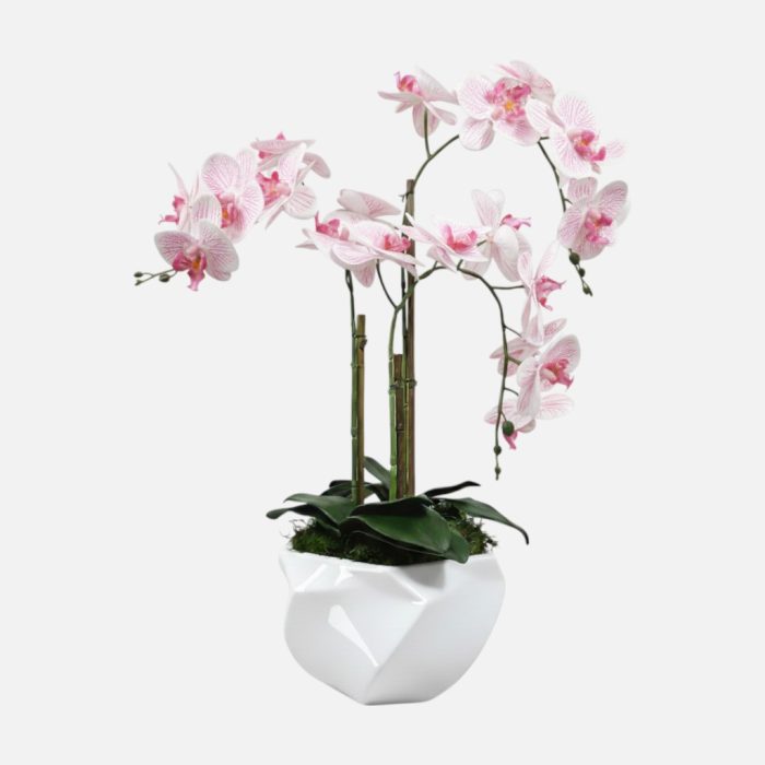 Arranjo de orquídeas em vaso de cerâmica branco Imperial - Rosa Claro