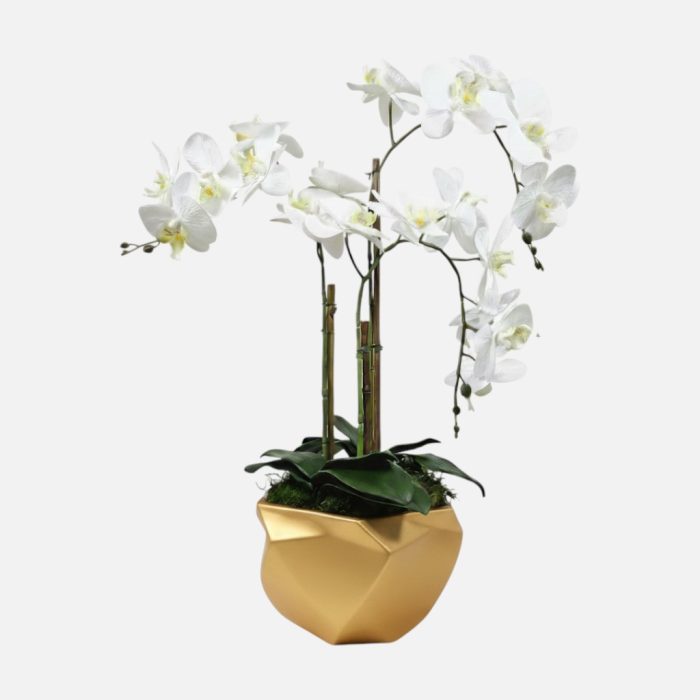 Arranjo de orquídeas em vaso de cerâmica dourado Imperial