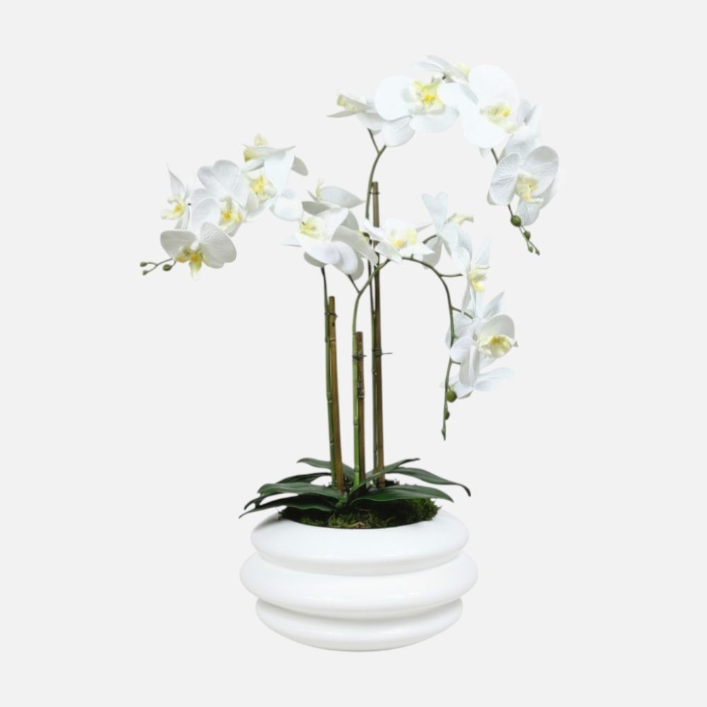 Arranjo de orquídeas em vaso de cerâmica branco Solene