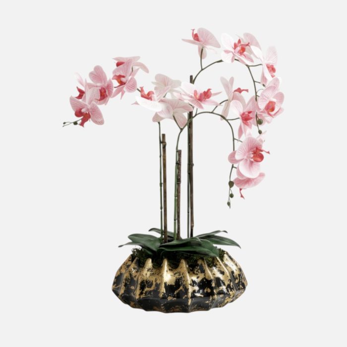 Arranjo de orquídeas em vaso de cerâmica preto e dourado Atlântico - Rosa Claro