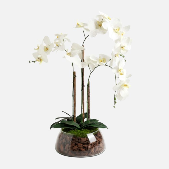 Arranjo de orquídeas em vaso de vidro Aura