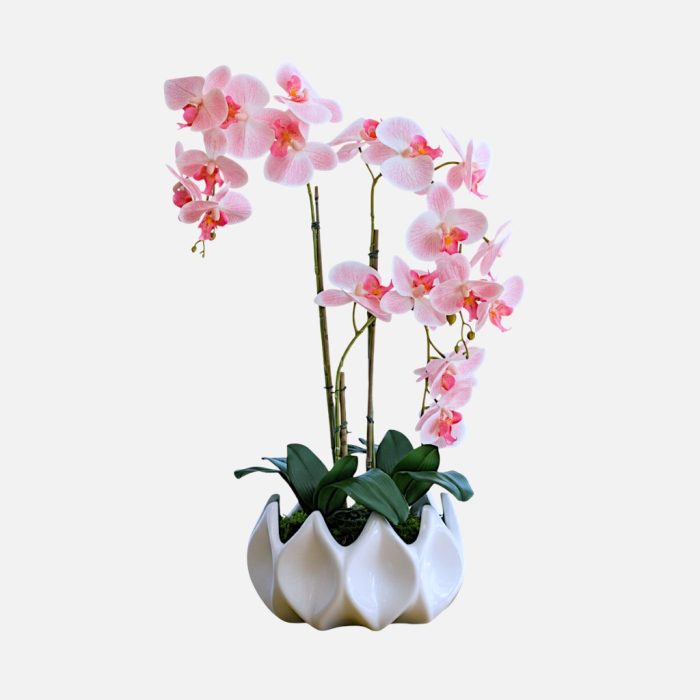Arranjo de orquídeas em vaso de cerâmica branco Aurora - Rosa Claro