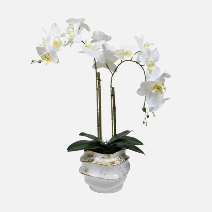Arranjo de orquídeas em vaso de cerâmica branco e dourado Ondas